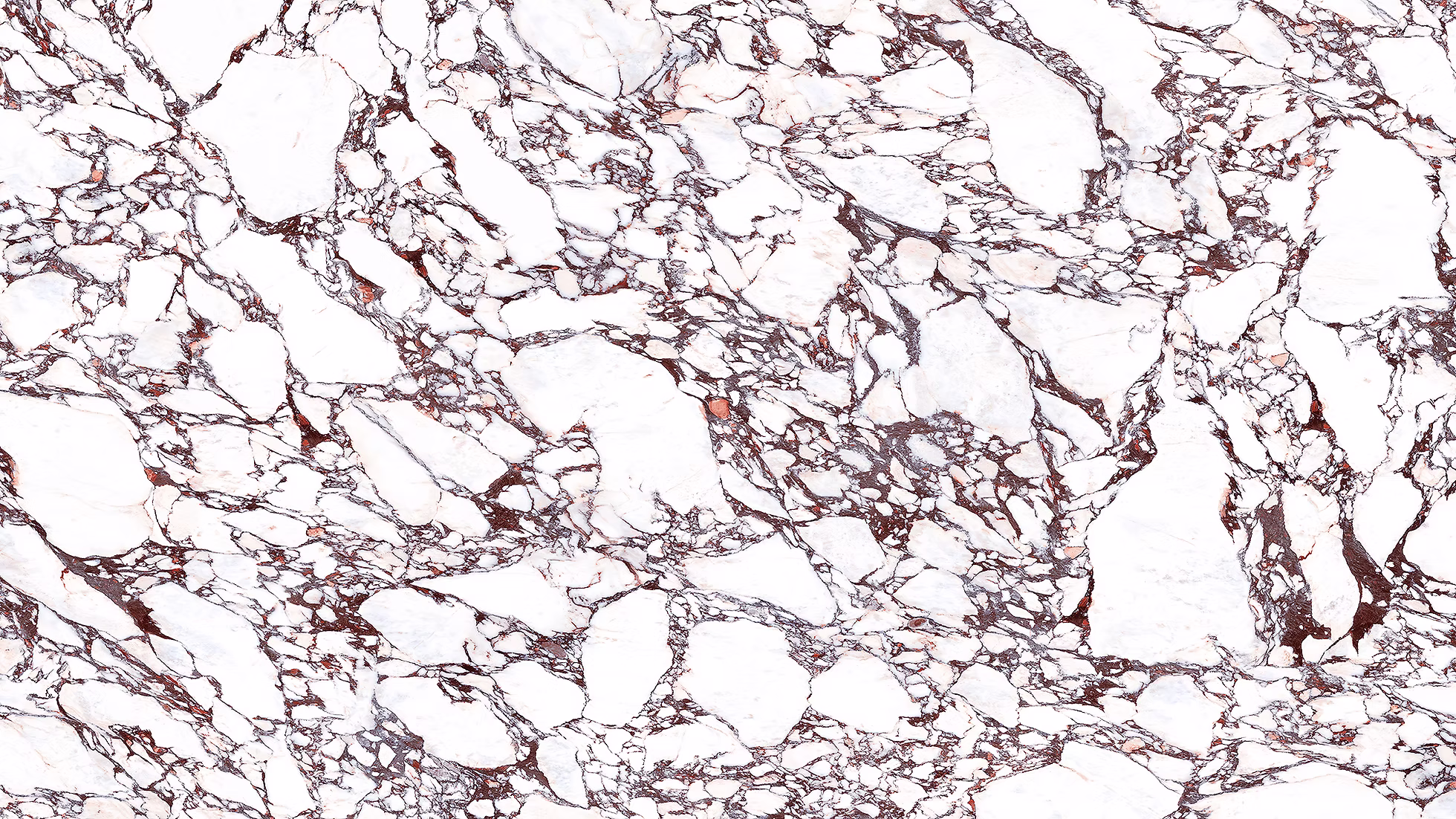 Calacatta Viola Porcelain material sample