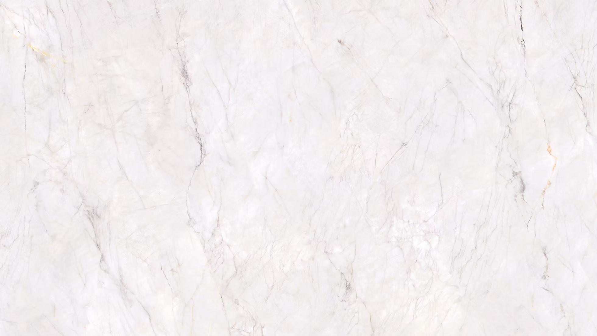 Carrara Gold Porcelain material sample